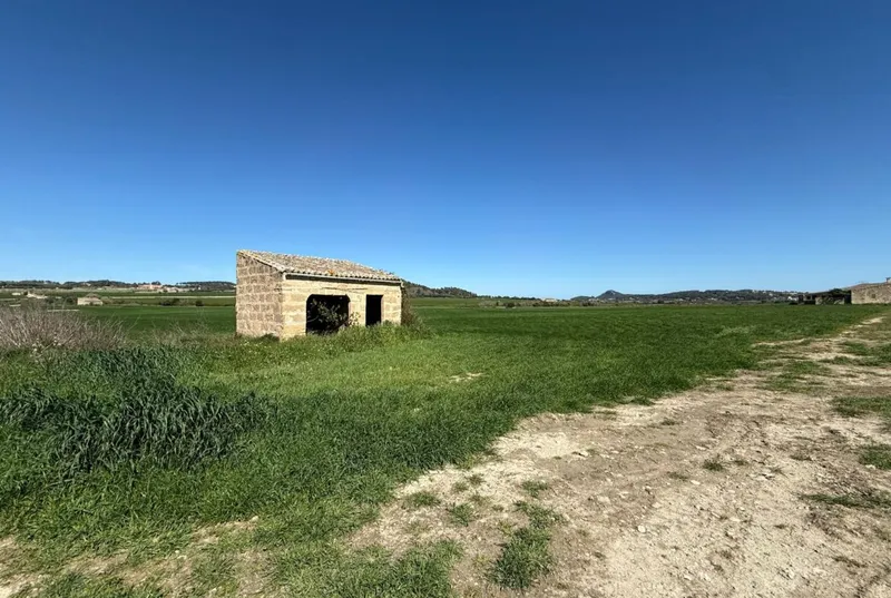 Buildable plot with shed in Montuiri — photo 2
