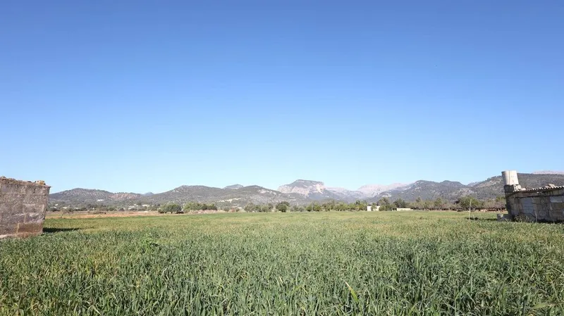 Land in Binissalem, Province of Balearic Islands — photo 1