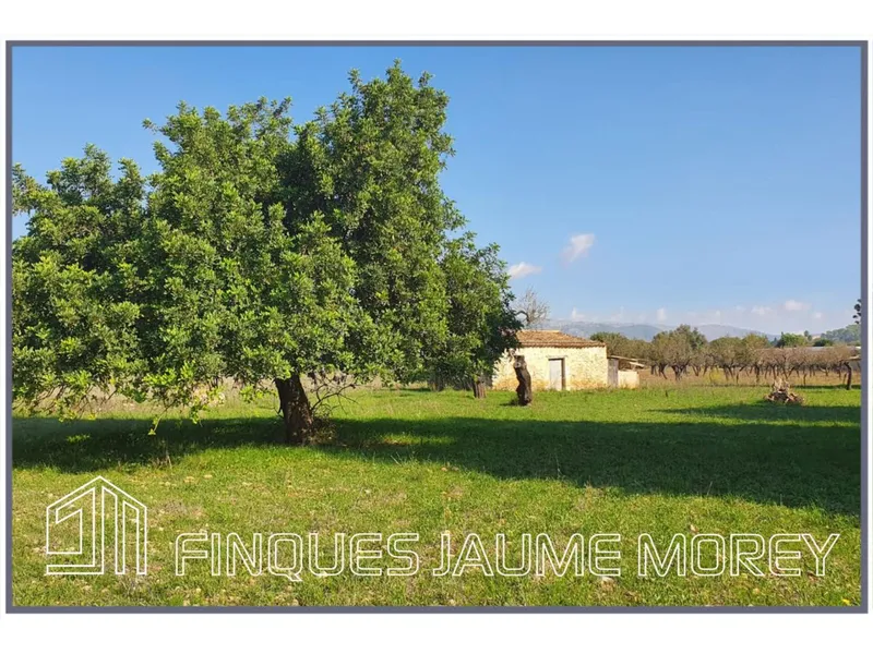 Country houses — photo 2