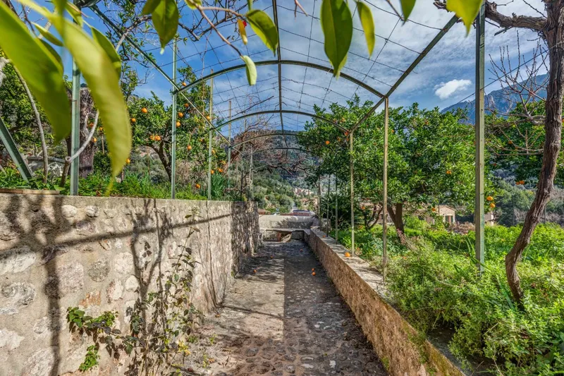 Imposing historic property directly in the heart of Fornalutx — photo 3