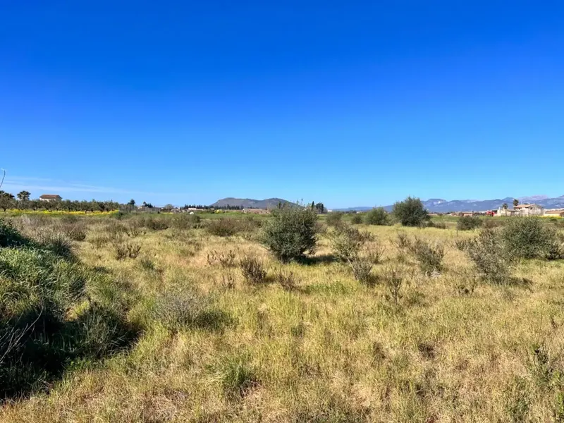 Rustic estate between Sa Pobla and Muro, with over 21,700 m2 of land and several constructions, one of them a large safareig and the other a — photo 4