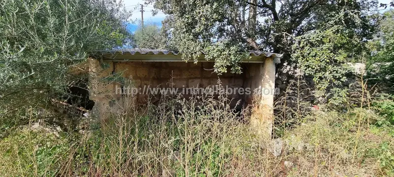 Unique opportunity on the outskirts of the charming municipality of Sencelles, on the beautiful island of Mallorca. This huge rustic estate — photo 11