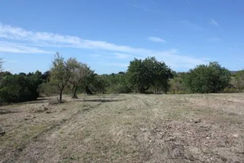 Plot — photo 1