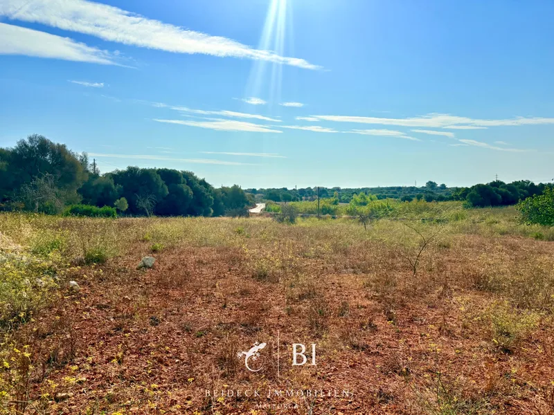 Interesting plot with approved finca project between Son Carrió and Cala Millor — photo 12