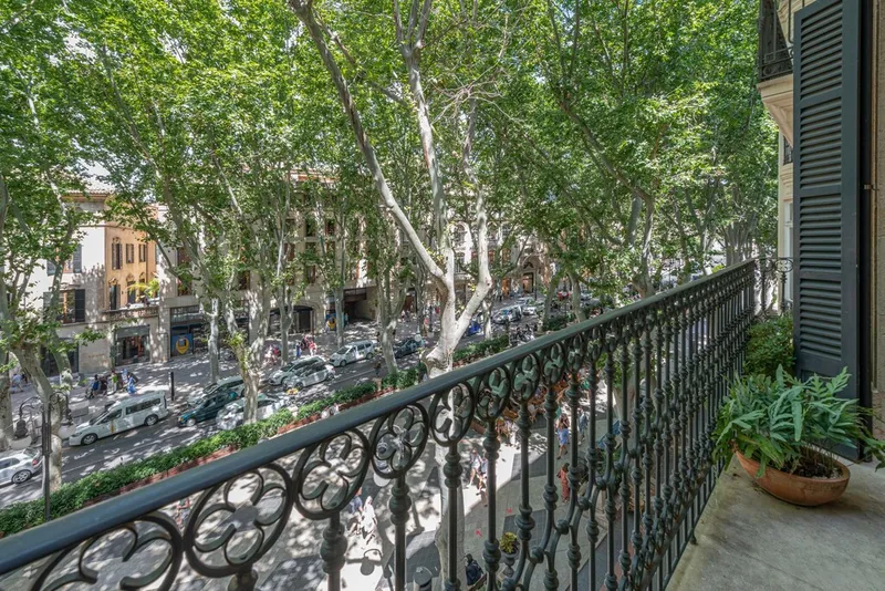 Top quality apartment for sale in Palma Casco Antiguo with roof terrace and various terraces — photo 4