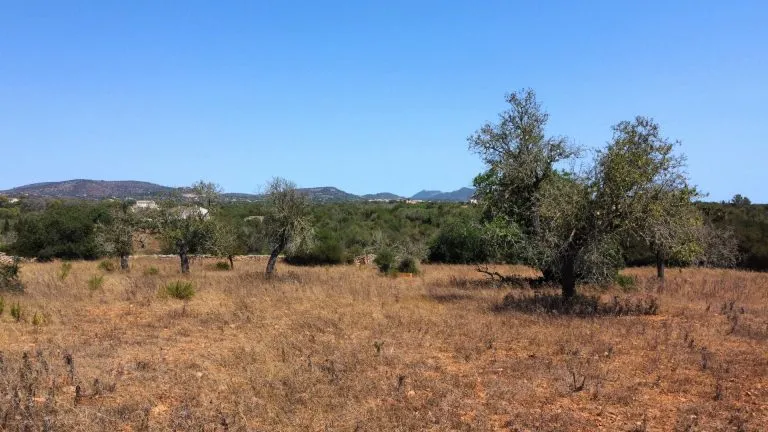 Finca-Grundstück mit Charakter, Weitblick und Nähe zu Santanyí — photo 1