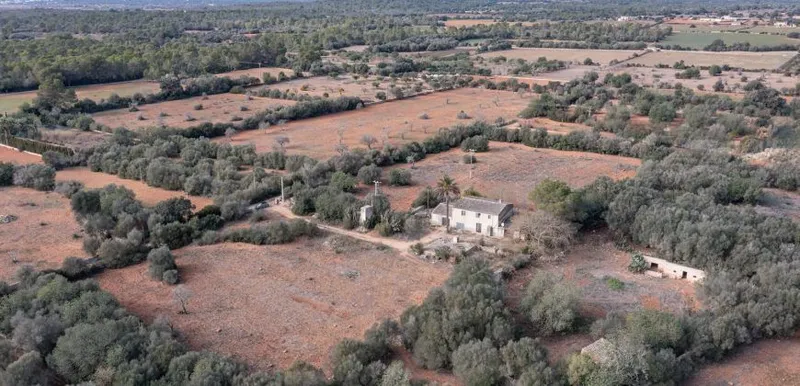 Country house to renovate in Campos with 14,000 m² plot — photo 10