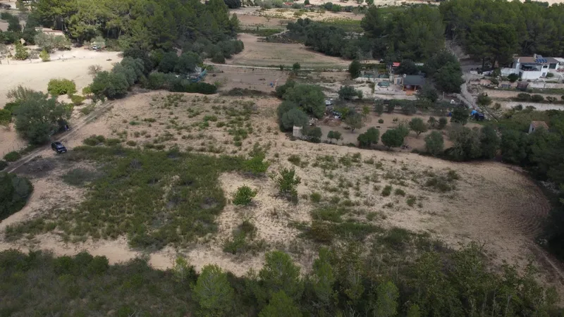 Rustic plot of 2,752 m² with fruit trees and wooded area — photo 8
