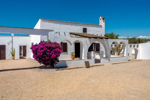 Algaida, beautiful bright finca in Algaida — photo 4
