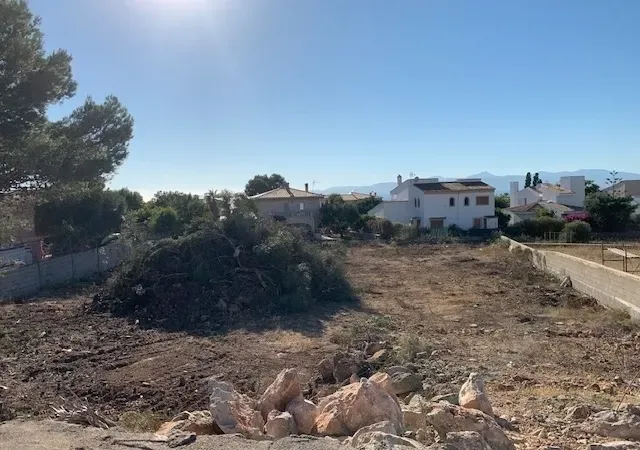 Plot of 1000m2 in Sa Torre, on the south of Mallorca — photo 6