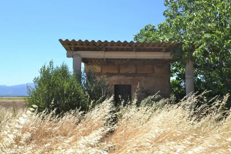 Set of plots for sale in Muro a short distance from the beach — photo 2