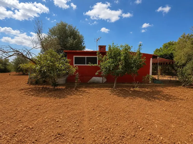 Rustic finca with small house and large plot in Santa Eugènia — photo 1