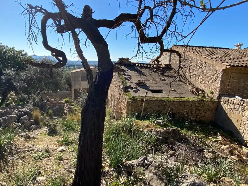 Opportunity in Caimari: Life Project at the Foot of the Tramuntana — photo 5