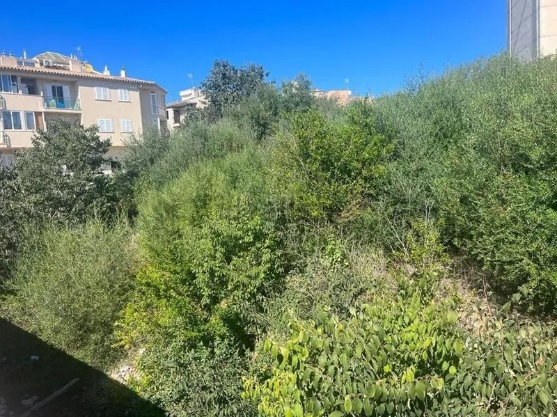 Land in Alcúdia, Province of Balearic Islands — photo 2