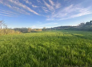 Plot in Santa Maria — photo 9
