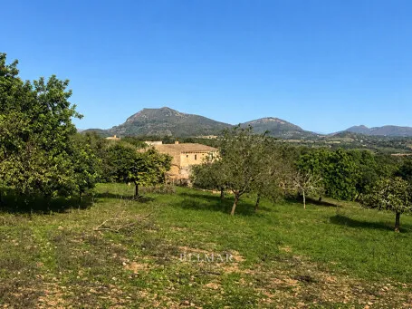 Finca property with an exclusive renovation project near Manacor — photo 1