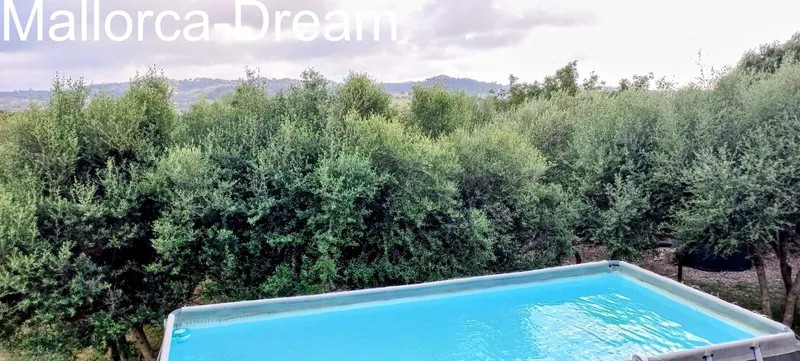 Manacor Son Macià: A dream finca with a pool and panoramic views on a beautiful plot — photo 3