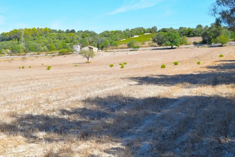 Finca rústica edificable de 32.462 m2, situada entre Llubí y Santa Margalida, en un entorno tranquilo y con hermosas vistas abiertas a la Se — photo 10