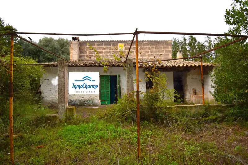 Rustic estate with a plot of 50,419 m² in Muro — photo 8