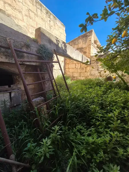 In Sa Pobla!!! — photo 7