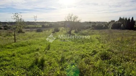 Rustic property - Muro (Muro afueras), Built Surface 512m², Plot Surface 14033m², Terrace Size... — photo 6