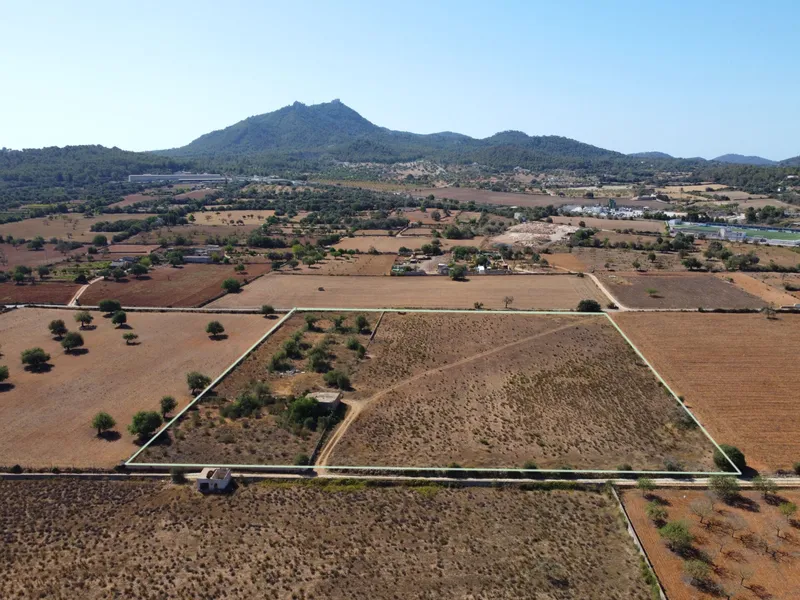 Buildable plot in Felanitx of 21,710 m2 — photo 10