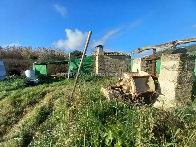 Te presento una encantadora propiedad rústica situada en el idílico pueblo de Petra, en las Baleares, España. Esta bonita finca se extiende  — photo 1