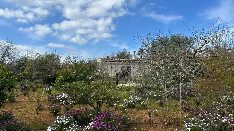 Charming rustic estate with dwelling and Mediterranean garden in Alaró — photo 10