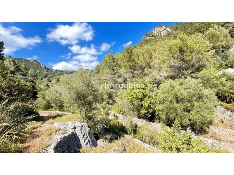 Rustic finca in Alaró of 22,600 m² in ANEI area — photo 4