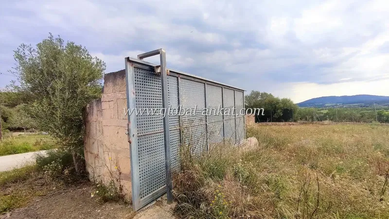 Developable plot in the village of Sant Joan about 20 kilometers from Manacor — photo 8