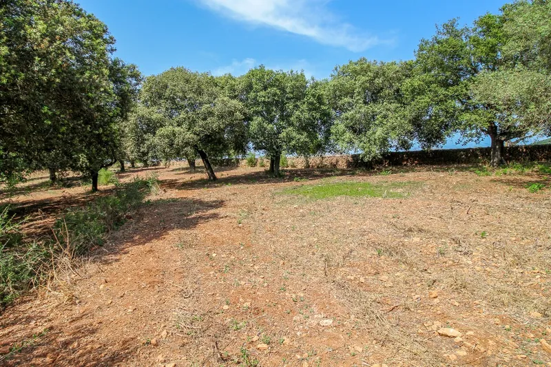 Discreet Listing - Exceptional Ecological Estate near Manacor — photo 9