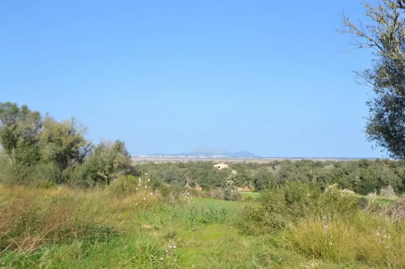 Fantastic estate of 23270 m2 located in General Rustic Land, for sale in Muro with incredible views of the Bay of Alcudia — photo 1