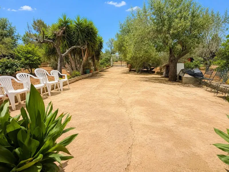 Rustic finca with small house and large plot in Santa Eugènia — photo 11
