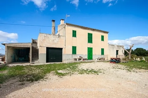 Llucmajor, spacious finca with 3 independent plots near Llucmajor — photo 1