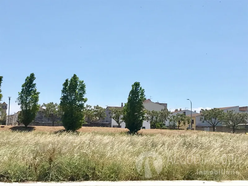 Plot — photo 6
