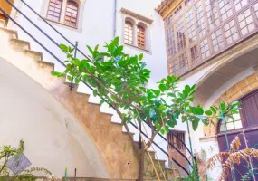 19th Century Palace – Old Town Palma — photo 8