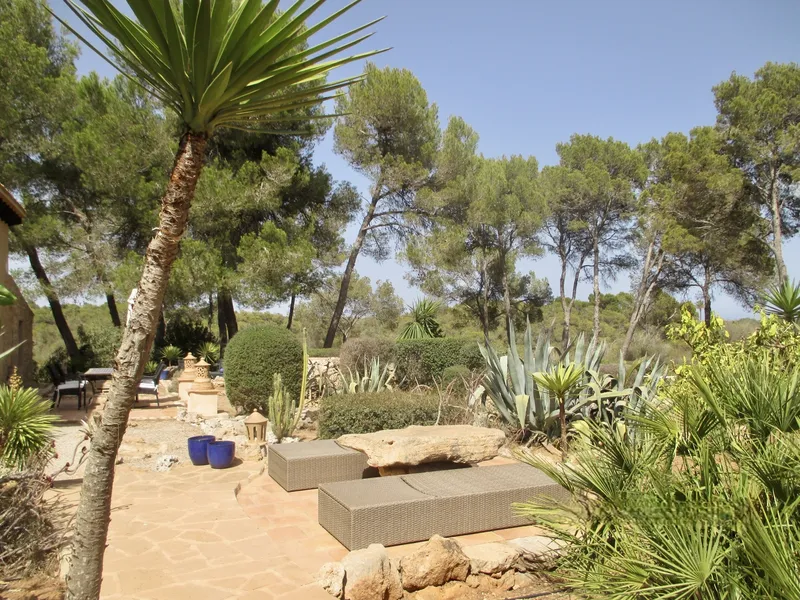 Unique Finca in L'Alqueria Blanca located in a nature reserve — photo 8