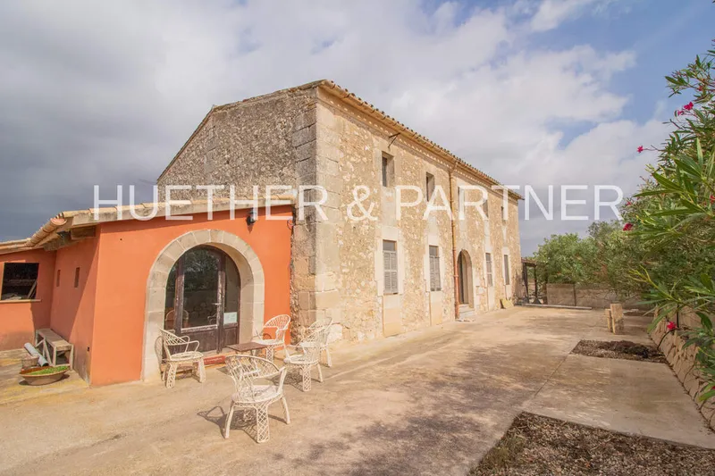 5,000 m² finca with 8 rooms and 2 bathrooms for sale — photo 4
