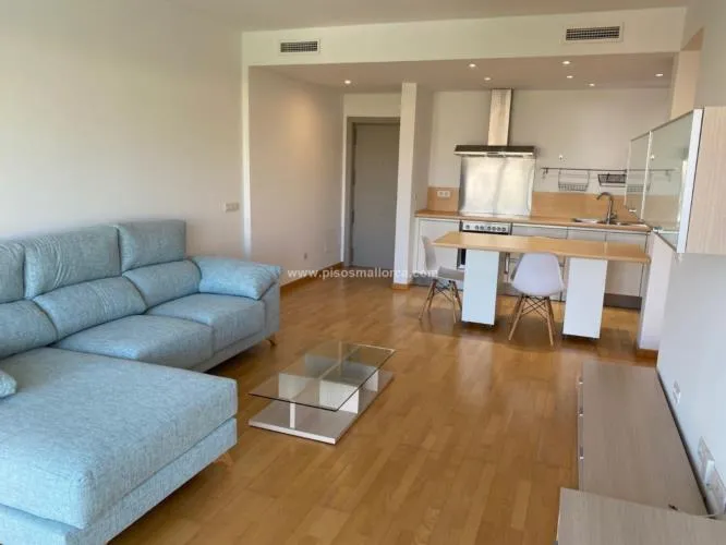 Apartment in Palma de Mallorca, Son Puig area — photo 10