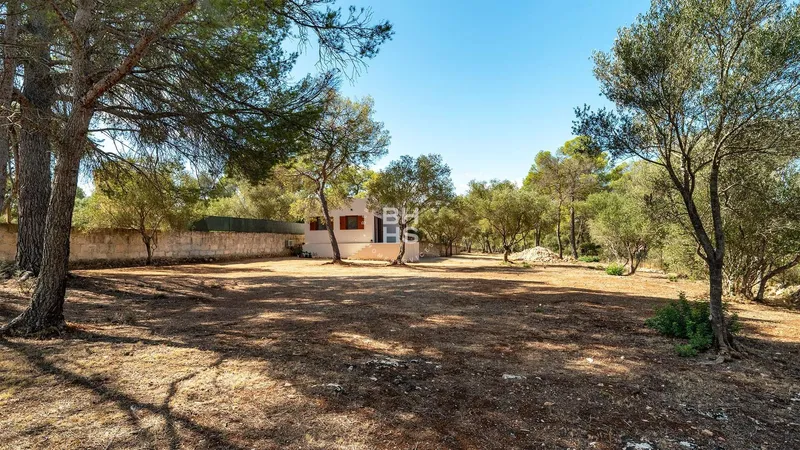 Rustic Finca for sale in Son Gual — photo 2