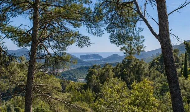 Finca with views over the port and holiday rental licence in Andratx — photo 8