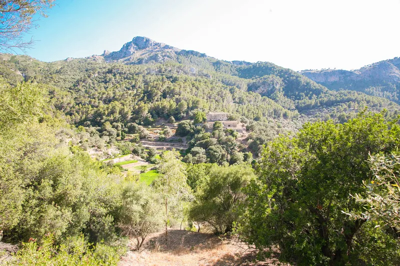 Ref. 2139C – Estellencs – Finca with fantastic panoramic views — photo 7