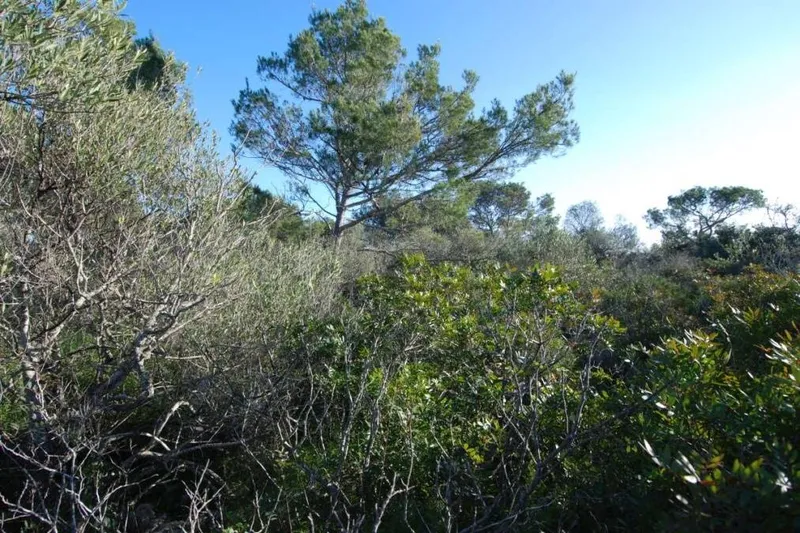 Urban plot with many possibilities above the marina of the port of Cala D'or — photo 1