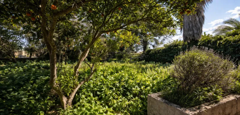 Historic village house in Ses Salines for renovation, 274 m² and plot of 433 m² — photo 6