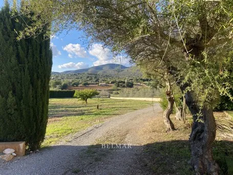 Cozy finca with privacy in Sant Llorenç — photo 4