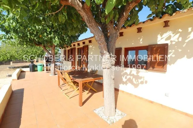 Finca mit 5 Zimmern, Pool, Meerblick & ETV Lizenz zu kaufen — photo 5