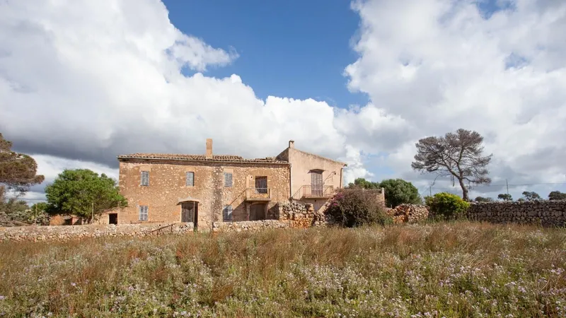Rustic plot of 240,000 m2 located facing the sea in Manacor — photo 1