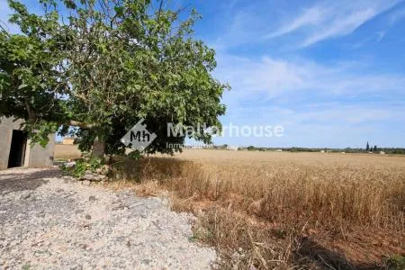 Urbanizable land - Muro (Son Serra), Plot Surface 15,324 m² — photo 11