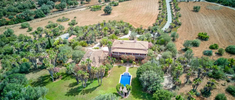 Finca in Santa Margalida with sea views and a large plot of land — photo 4