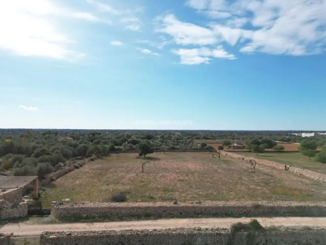 Building Plot for Sale in Llucmajor — photo 3